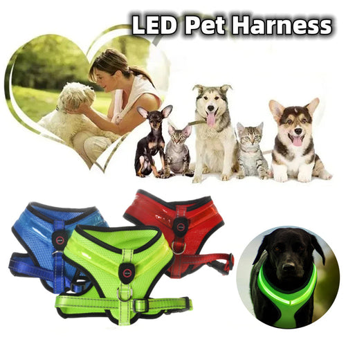 USB Rechargeable LED Dog Chest Strap – Light Up Harness with Flashing Modes, Breathable Mesh, Night Safety Pet Gear (S/M/L)