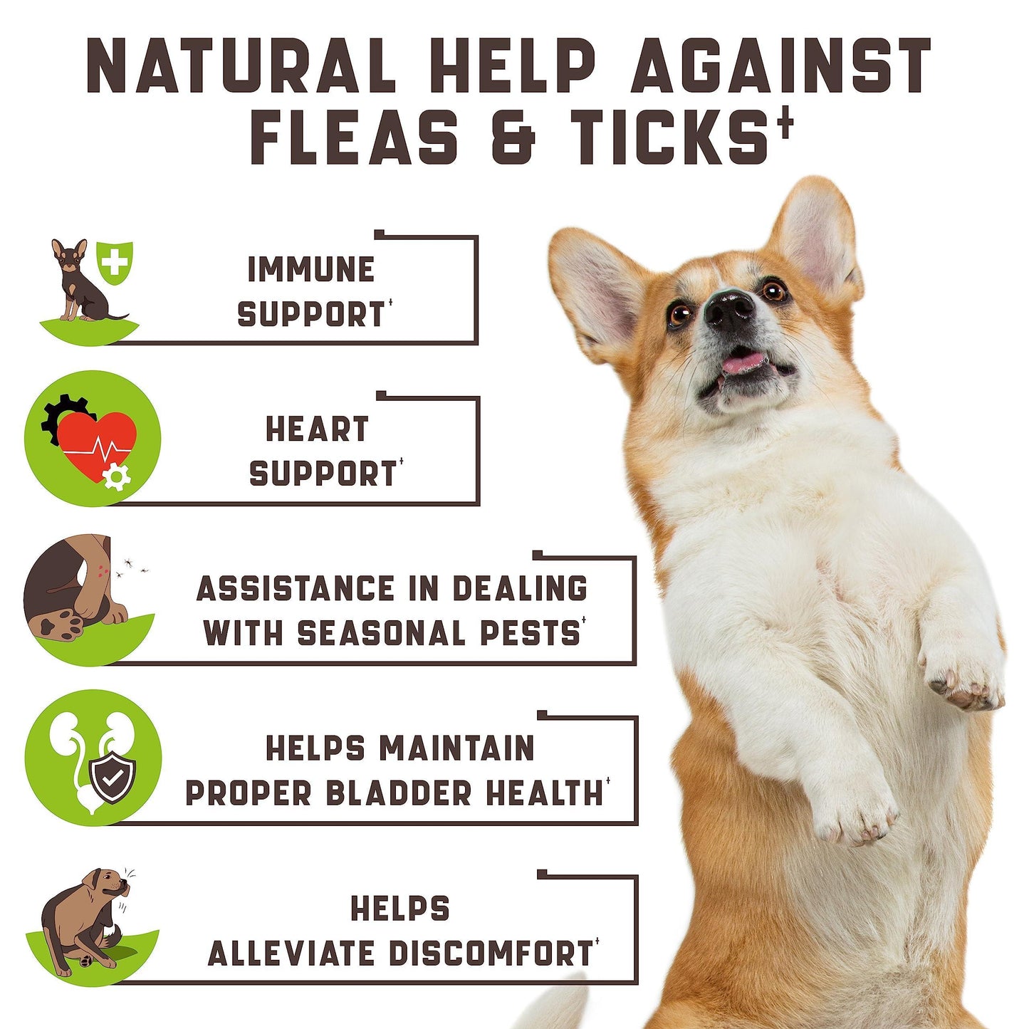 Natural Flea & Tick Chewables for Dogs | Duck Flavor