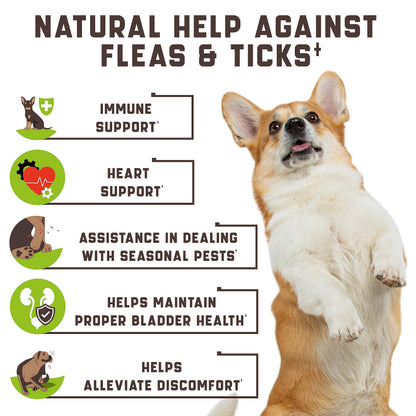 Natural Flea & Tick Chewables for Dogs | Duck Flavor