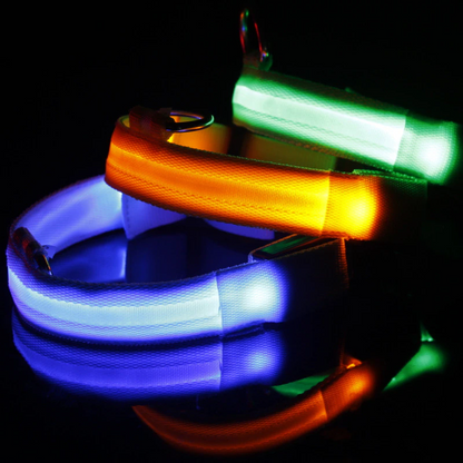LED Adjustable Dog Collar – Light Up, Waterproof, High Visibility Safety Collar for Night Walks (Multiple Colors & Sizes)