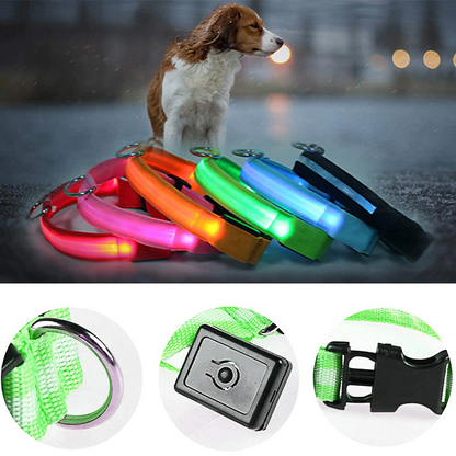 LED Adjustable Dog Collar – Light Up, Waterproof, High Visibility Safety Collar for Night Walks (Multiple Colors & Sizes)