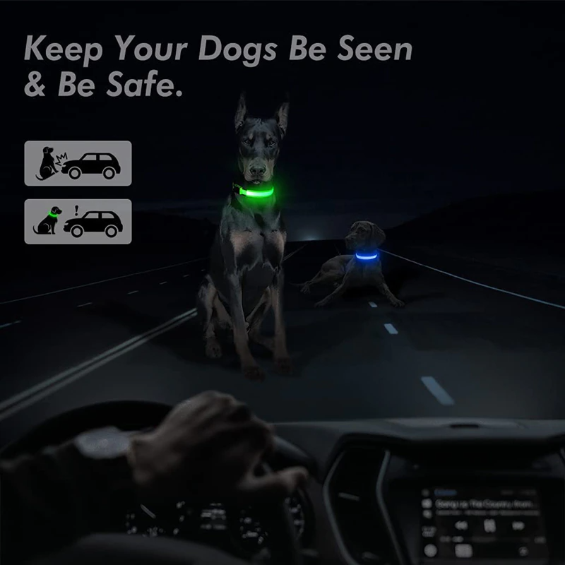 LED Adjustable Dog Collar – Light Up, Waterproof, High Visibility Safety Collar for Night Walks (Multiple Colors & Sizes)