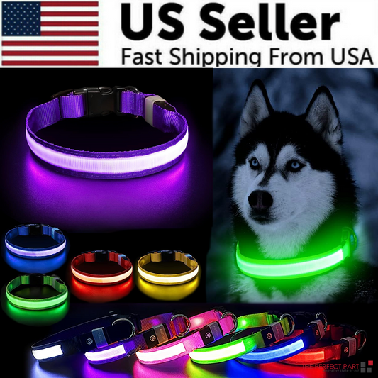 LED Adjustable Dog Collar – Light Up, Waterproof, High Visibility Safety Collar for Night Walks (Multiple Colors & Sizes)