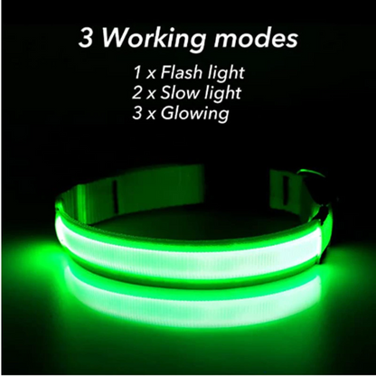 LED Adjustable Dog Collar – Light Up, Waterproof, High Visibility Safety Collar for Night Walks (Multiple Colors & Sizes)