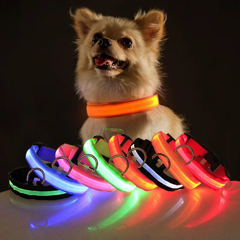 LED Adjustable Dog Collar – Light Up, Waterproof, High Visibility Safety Collar for Night Walks (Multiple Colors & Sizes)