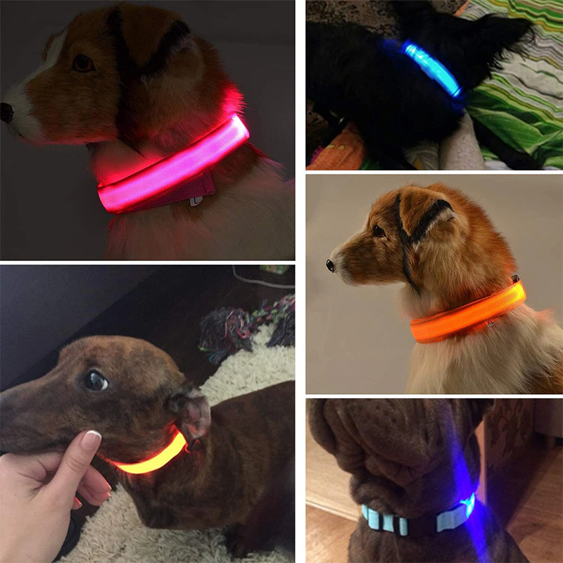 LED Adjustable Dog Collar – Light Up, Waterproof, High Visibility Safety Collar for Night Walks (Multiple Colors & Sizes)