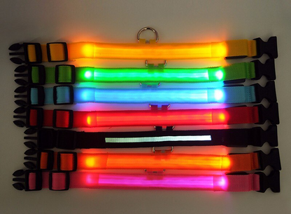 LED Adjustable Dog Collar – Light Up, Waterproof, High Visibility Safety Collar for Night Walks (Multiple Colors & Sizes)