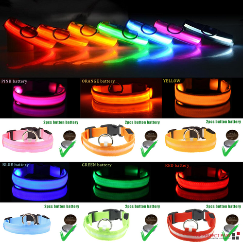 LED Adjustable Dog Collar – Light Up, Waterproof, High Visibility Safety Collar for Night Walks (Multiple Colors & Sizes)