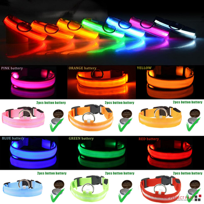 LED Adjustable Dog Collar – Light Up, Waterproof, High Visibility Safety Collar for Night Walks (Multiple Colors & Sizes)
