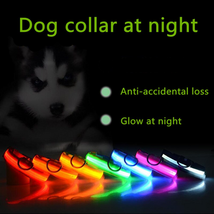 LED Adjustable Dog Collar – Light Up, Waterproof, High Visibility Safety Collar for Night Walks (Multiple Colors & Sizes)
