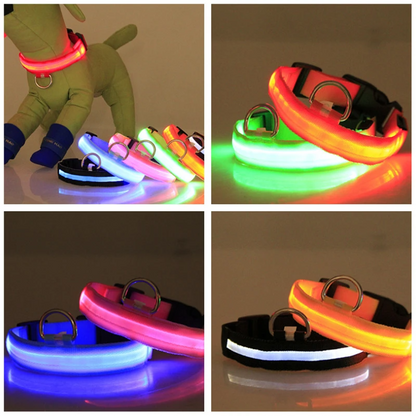 LED Adjustable Dog Collar – Light Up, Waterproof, High Visibility Safety Collar for Night Walks (Multiple Colors & Sizes)