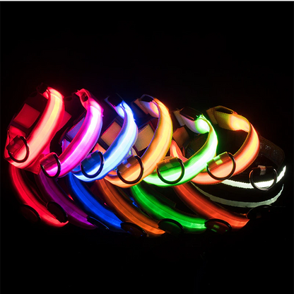 LED Adjustable Dog Collar – Light Up, Waterproof, High Visibility Safety Collar for Night Walks (Multiple Colors & Sizes)