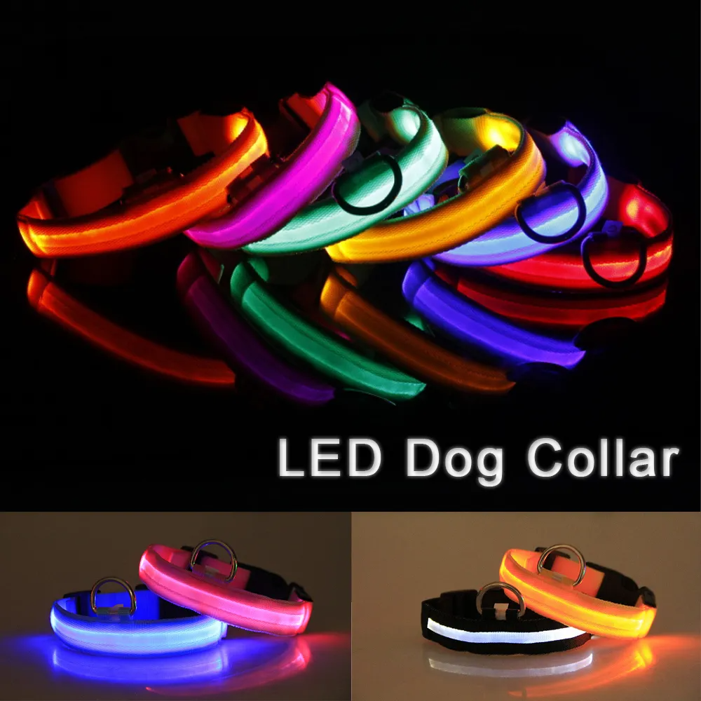 LED Adjustable Dog Collar – Light Up, Waterproof, High Visibility Safety Collar for Night Walks (Multiple Colors & Sizes)