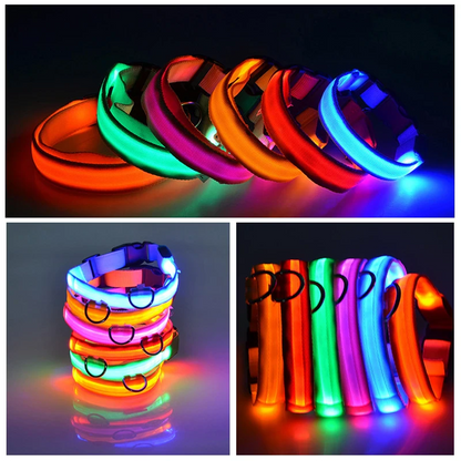 LED Adjustable Dog Collar – Light Up, Waterproof, High Visibility Safety Collar for Night Walks (Multiple Colors & Sizes)