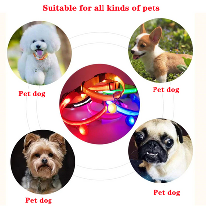 LED Adjustable Dog Collar – Light Up, Waterproof, High Visibility Safety Collar for Night Walks (Multiple Colors & Sizes)
