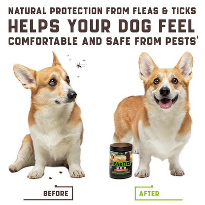 Natural Flea & Tick Chewables for Dogs | Duck Flavor