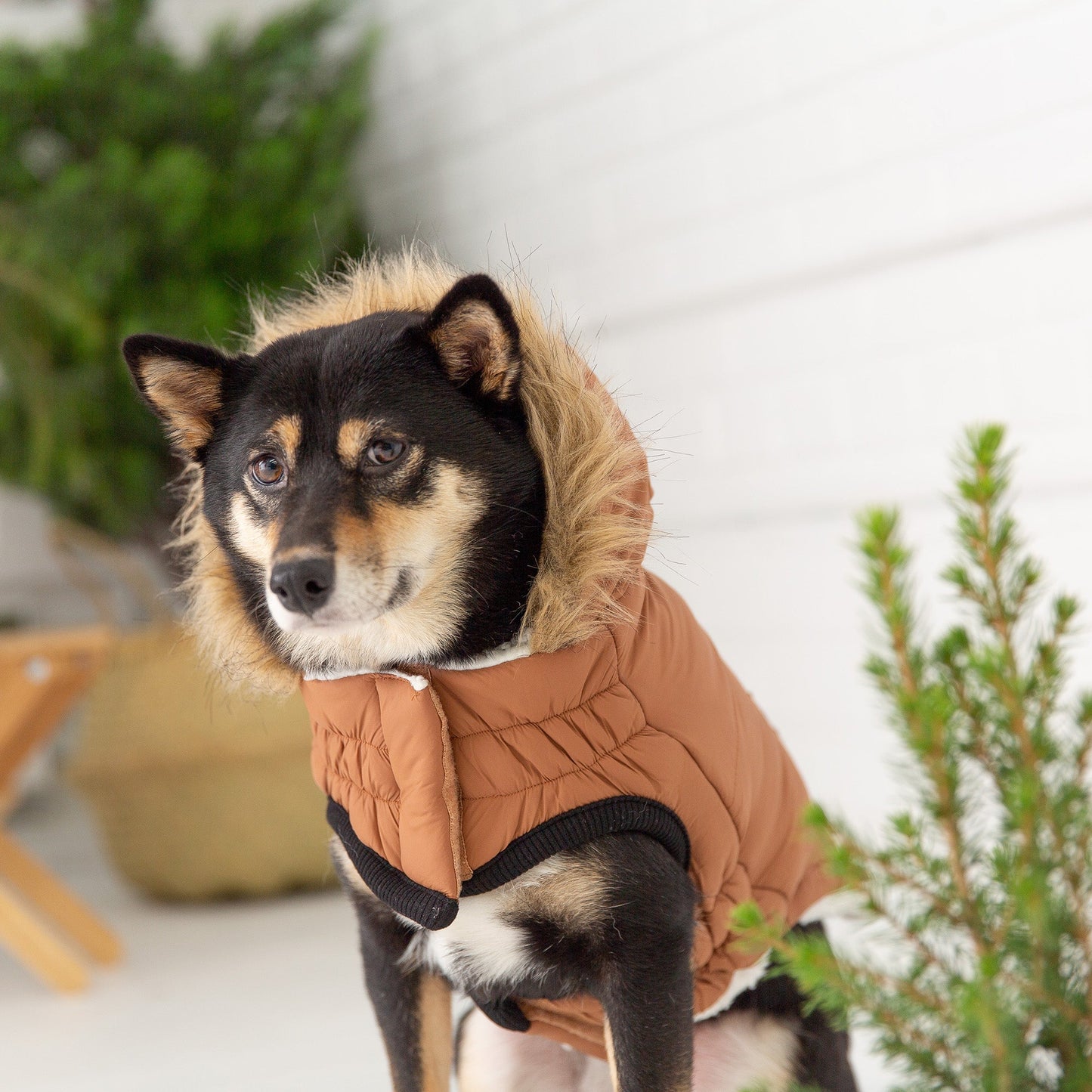 Urban Dog Parka – Caramel Waterproof Winter Jacket for Small & Large Breeds