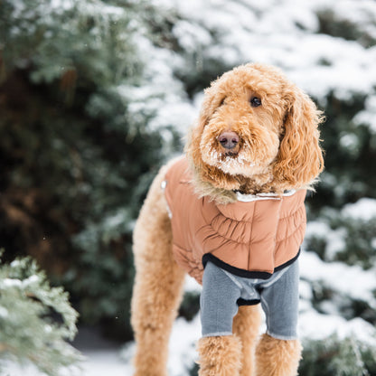 Urban Dog Parka – Caramel Waterproof Winter Jacket for Small & Large Breeds