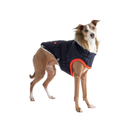 Winter Sailor Dog Parka – Navy Cold‑Weather Insulated Jacket for Small & Large Breeds