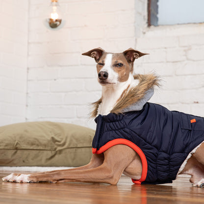 Winter Sailor Dog Parka – Navy Cold‑Weather Insulated Jacket for Small & Large Breeds