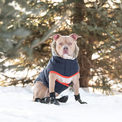 Winter Sailor Dog Parka – Navy Cold‑Weather Insulated Jacket for Small & Large Breeds