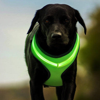 USB Rechargeable LED Dog Chest Strap – Light Up Harness with Flashing Modes, Breathable Mesh, Night Safety Pet Gear (S/M/L)