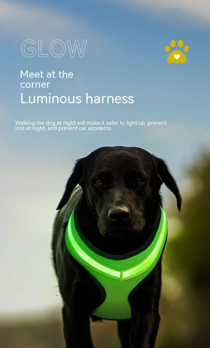 USB Rechargeable LED Dog Chest Strap – Light Up Harness with Flashing Modes, Breathable Mesh, Night Safety Pet Gear (S/M/L)