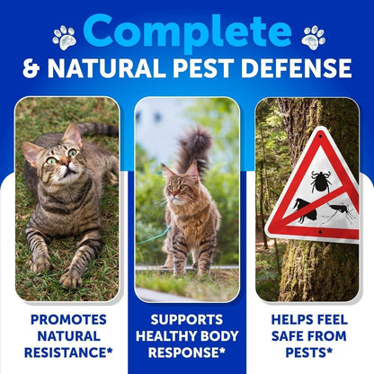 Natural Flea & Tick Chews for Cats | Daily Immune Support