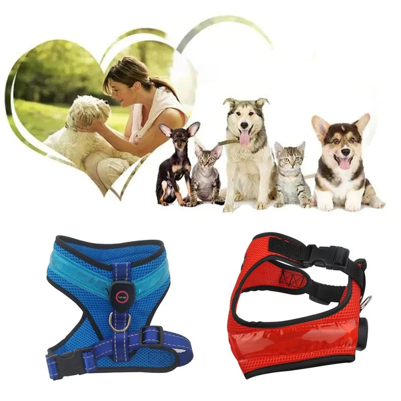 USB Rechargeable LED Dog Chest Strap – Light Up Harness with Flashing Modes, Breathable Mesh, Night Safety Pet Gear (S/M/L)